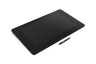 Wacom Cintiq Pro 24 multi-touch (DTH-2420-RU)